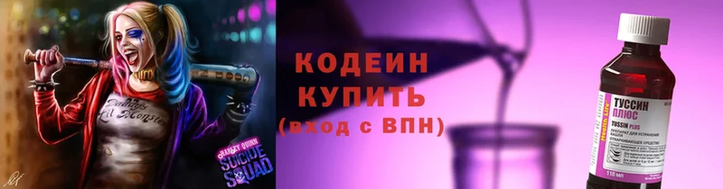 закладки  Инсар  Кодеин Purple Drank 